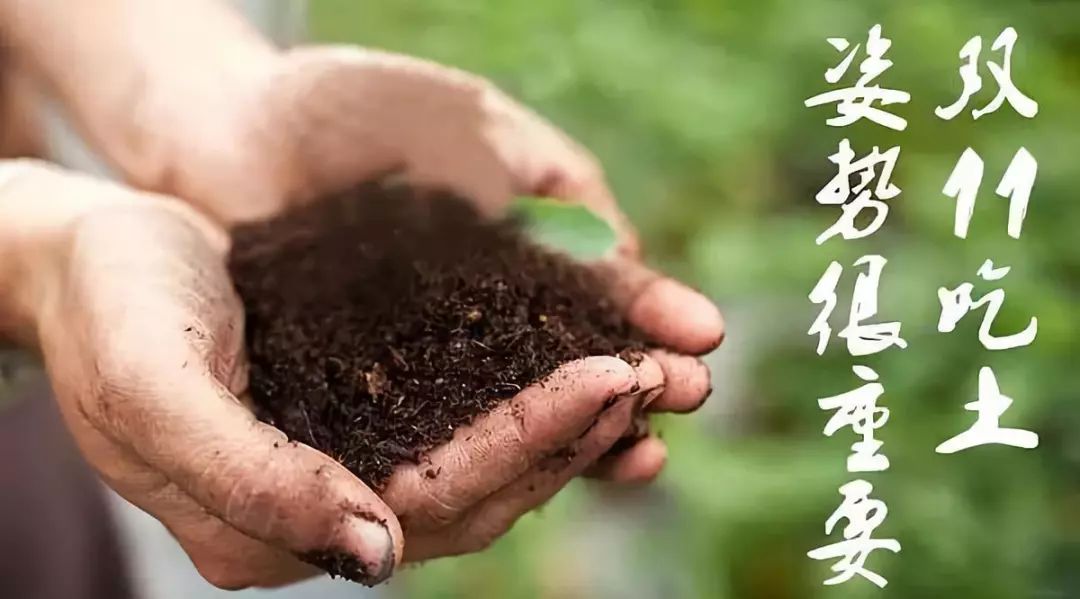 网购被骗最快的解决方法,8个防被骗的网购技巧分享