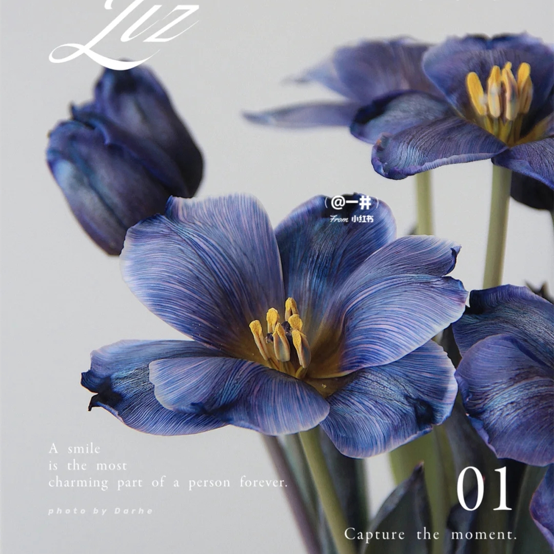 野冬青花材,畅销花卉绿植排行榜前十名