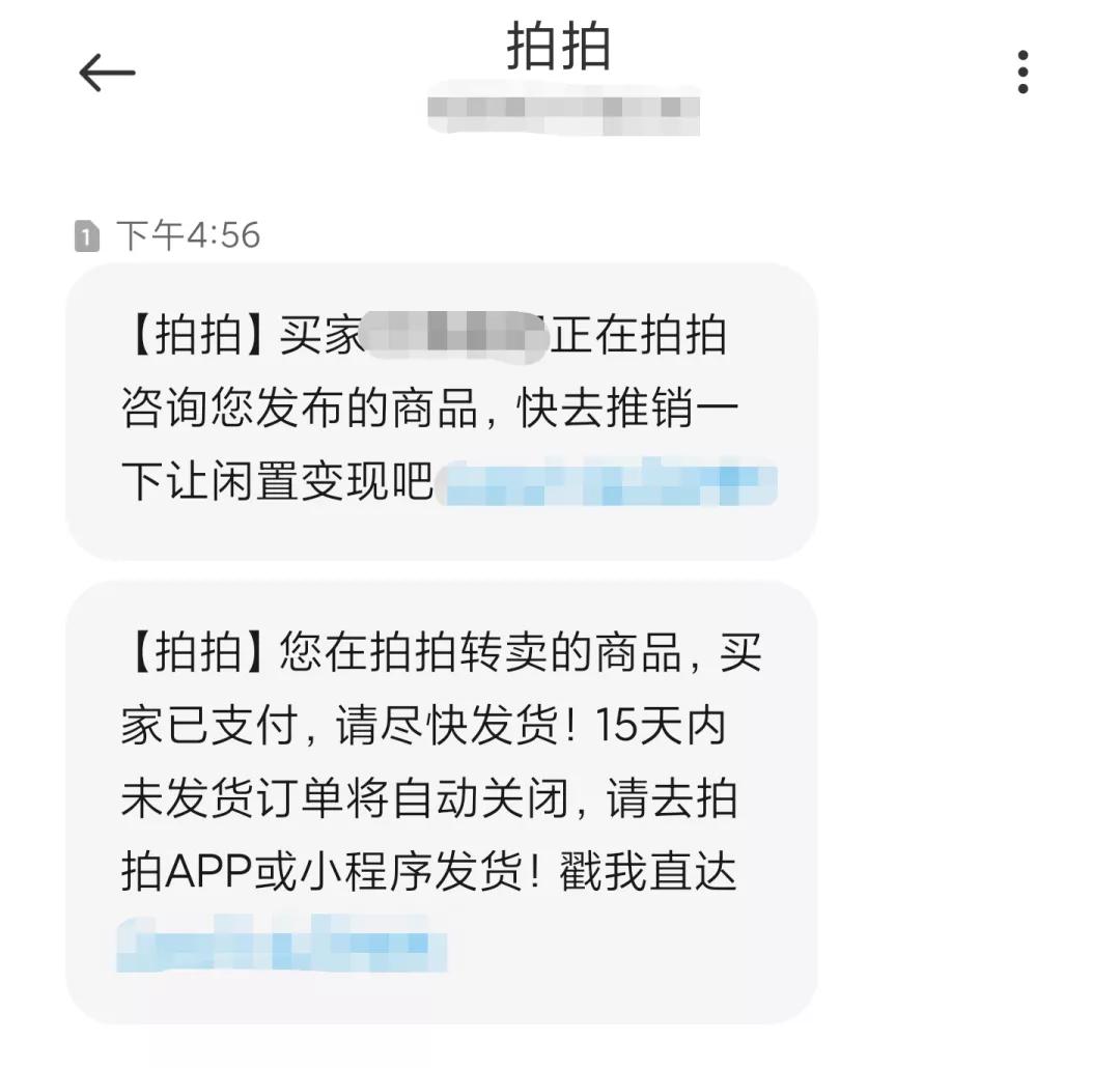 鲸置和闲鱼,闲鱼体验完毕