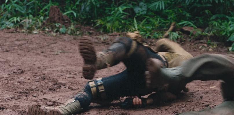 赵文卓和甄子丹矛盾的电影,赵文卓和甄子丹同演的电影