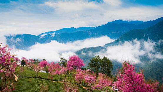 是心动啊，樱樱樱樱樱樱樱樱樱