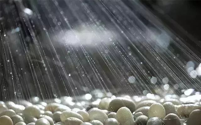 真正的蚕丝被100%桑蚕丝北极绒,推荐一款纯天然蚕丝被