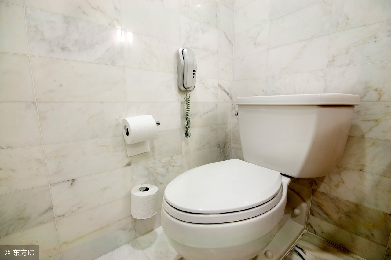 卫生间飞虫怎么消灭最好,卫生间有小小的飞虫该怎么除去它