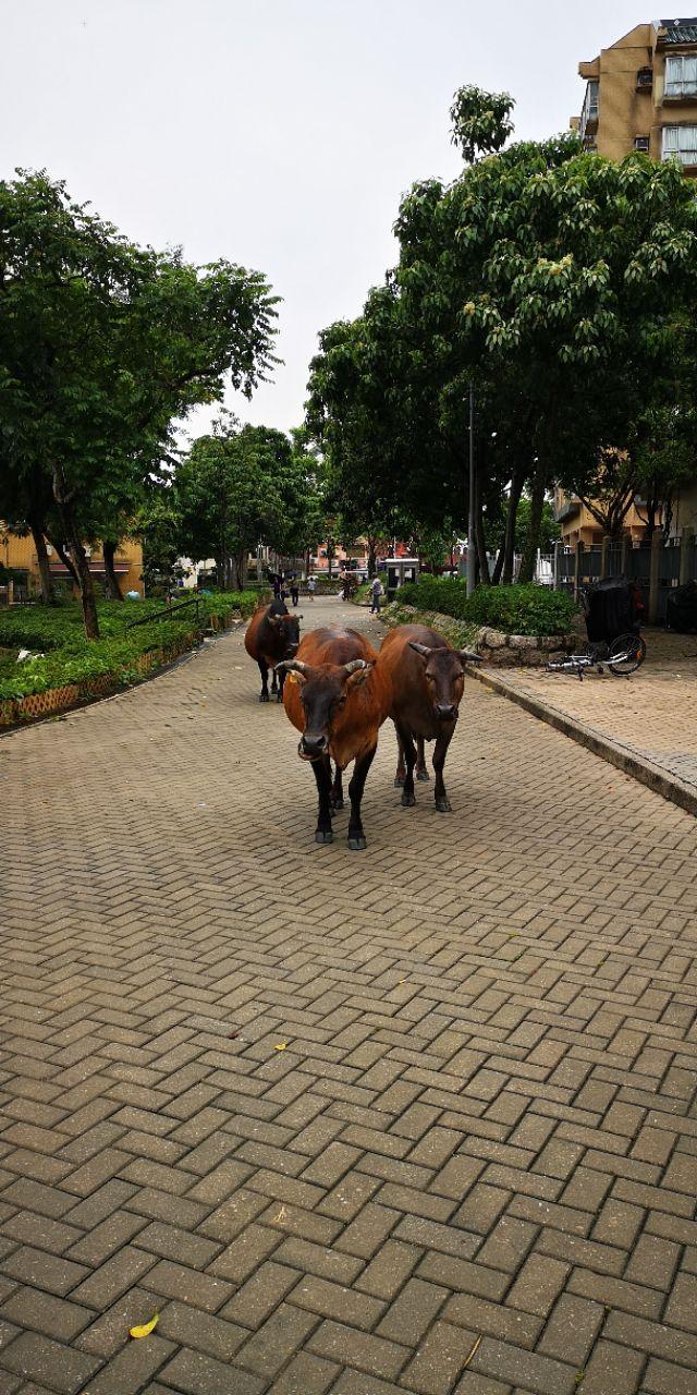香港最后一片净土避世天堂,香港西贡一日游攻略图