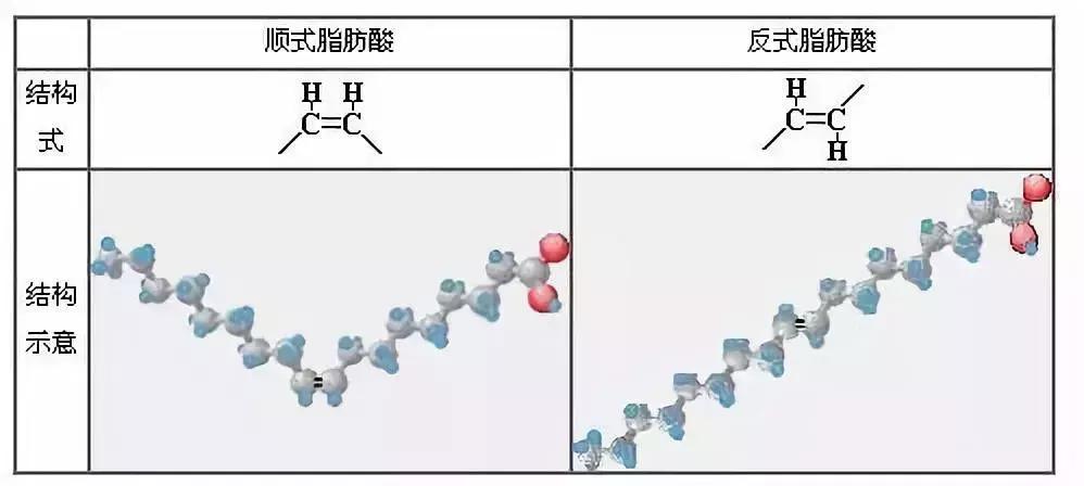世卫组织呼吁叫停反式脂肪酸,禁止反式脂肪的食物