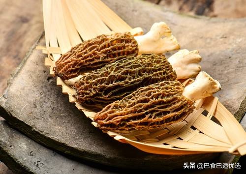 羊肚菌吃起来什么味道,羊肚菌一次吃12个有事吗