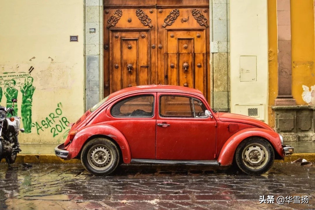 在这里你可以看到绚烂多彩的甲壳虫,因为他们是这里的精灵