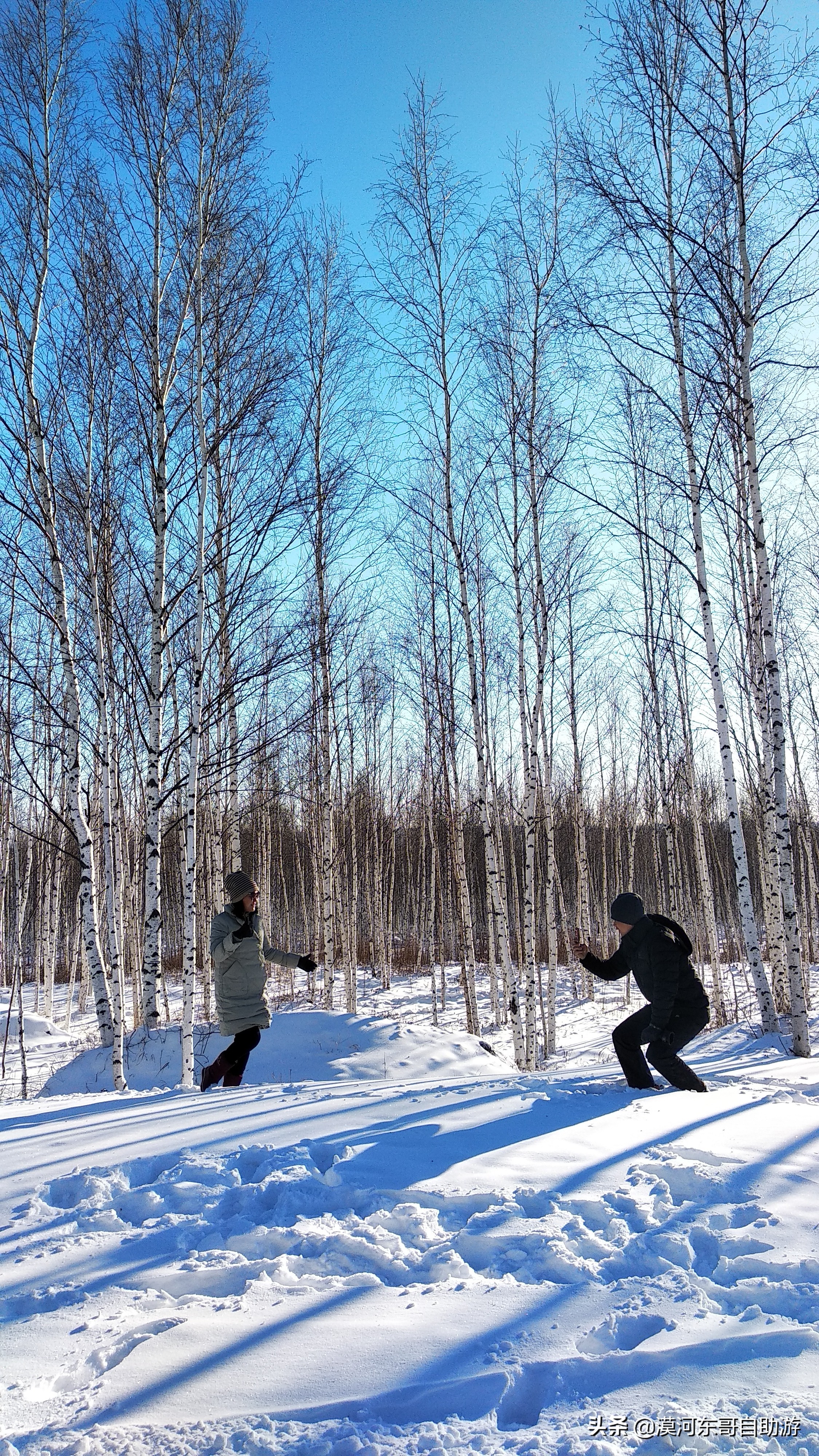 东北五日游漠河,漠河4天3夜旅游攻略