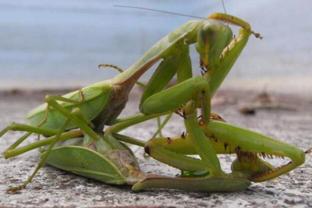 莫笑狂夫小说,莫笑狂夫完整版