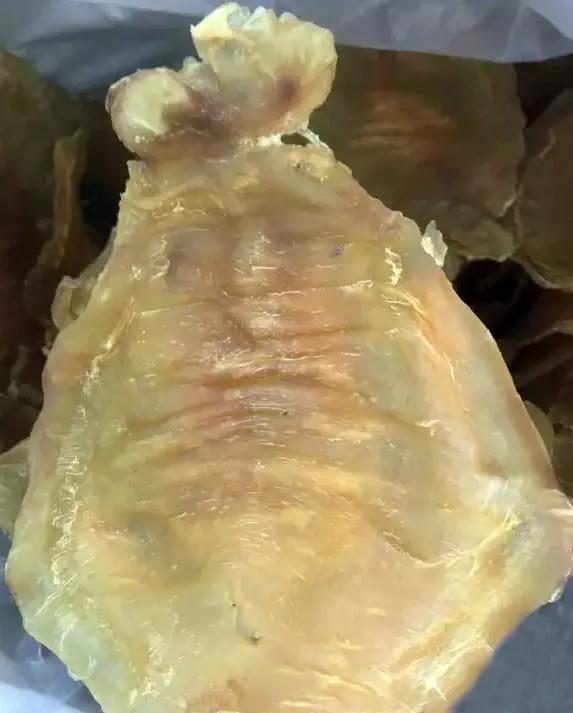 本港赤嘴鳘鱼胶适合做花胶冻么,楼上赤嘴鳘鱼胶花胶