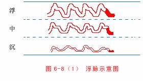 中医把脉入门必背口诀翻译,把脉入门必背口诀粤语版