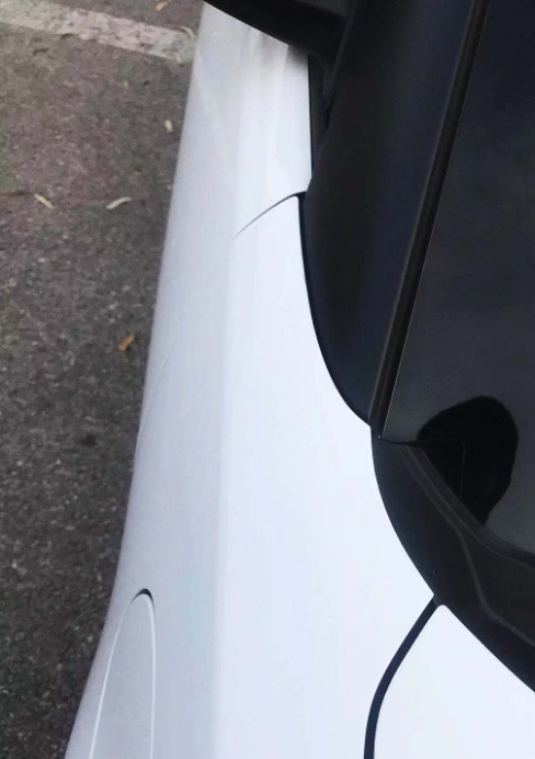 薛定谔的猫实测,欧拉白猫小野猫试驾