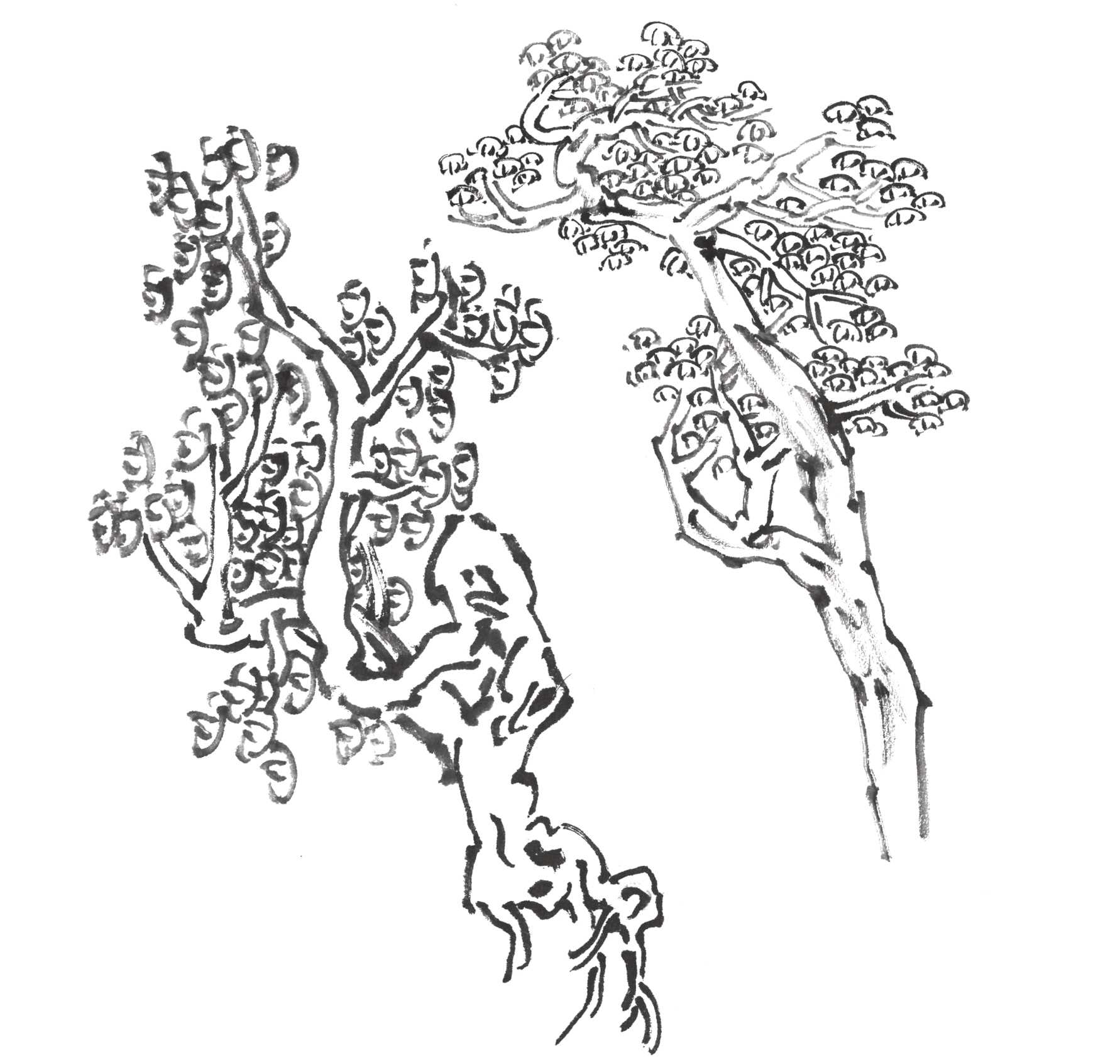 树画简单初学者教程,树画不好看了怎么改