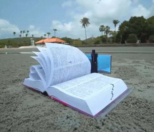 手机拍照各种场景下的拍摄技巧,手机相机拍照真实技巧