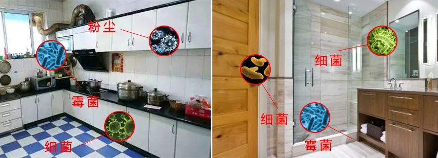 新车内除味最有效方法,车内消毒杀菌除味方法