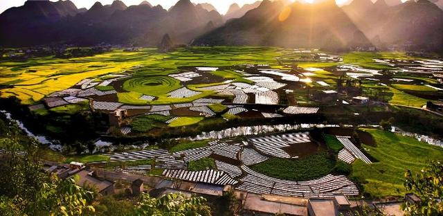 全国各省特产一览表宁夏枸杞,中国各省特产美食一览表