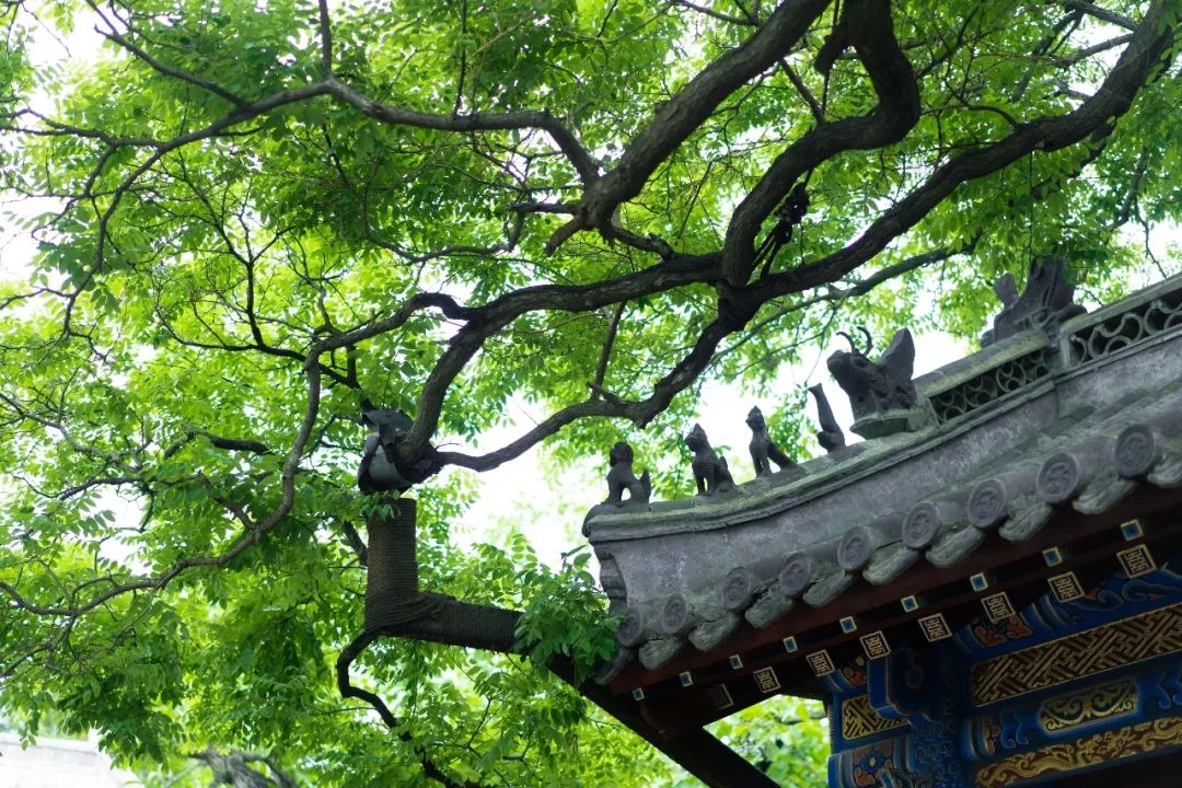 蓬莱美如画,蓬莱美景