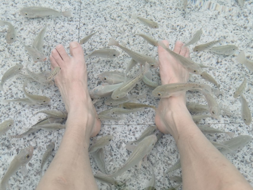 江东旅游景点推荐攻略,重庆温泉之都统景温泉