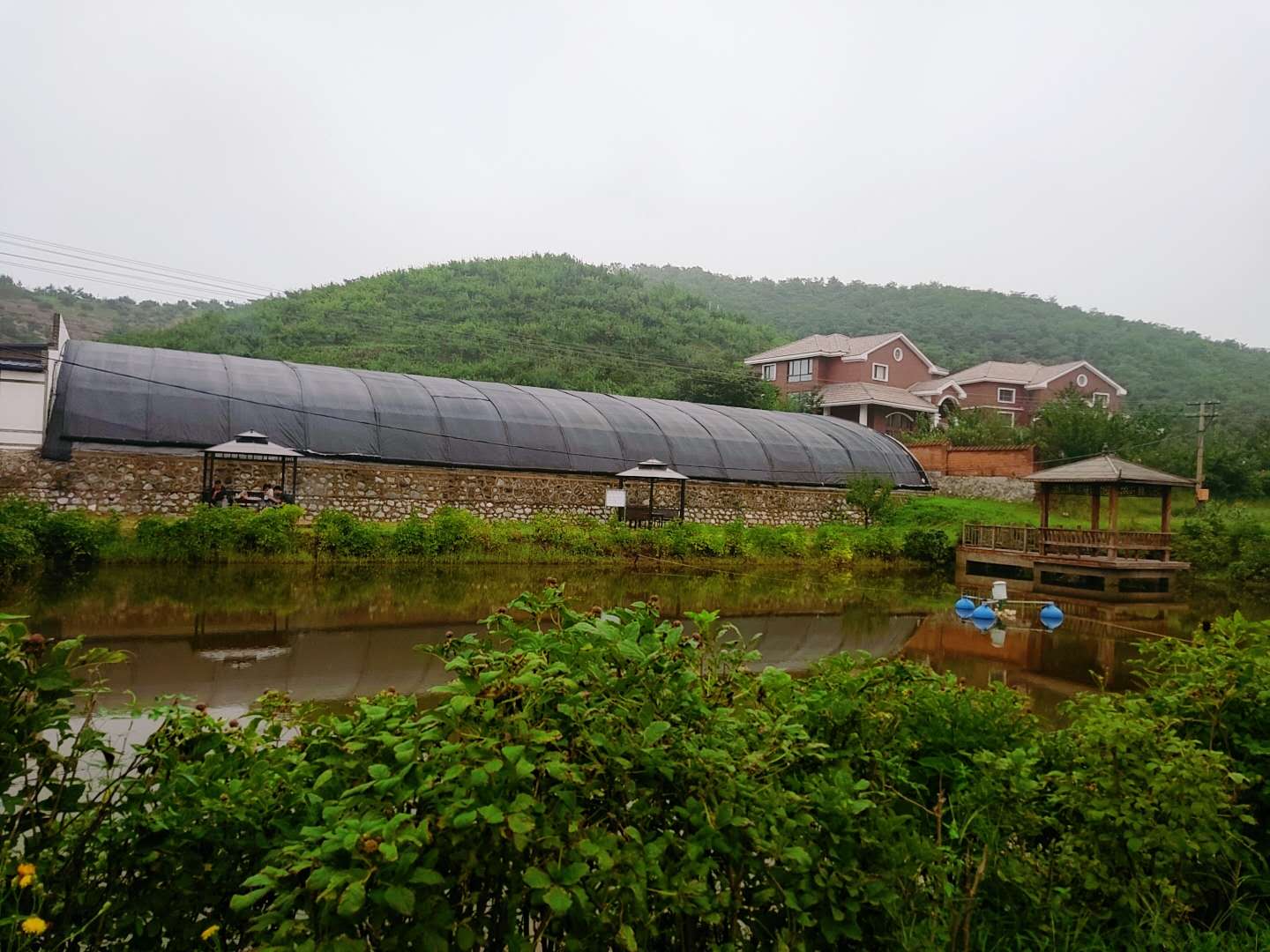 沈阳哪里有采榛子的采摘园,沈阳采摘园哪个最好玩