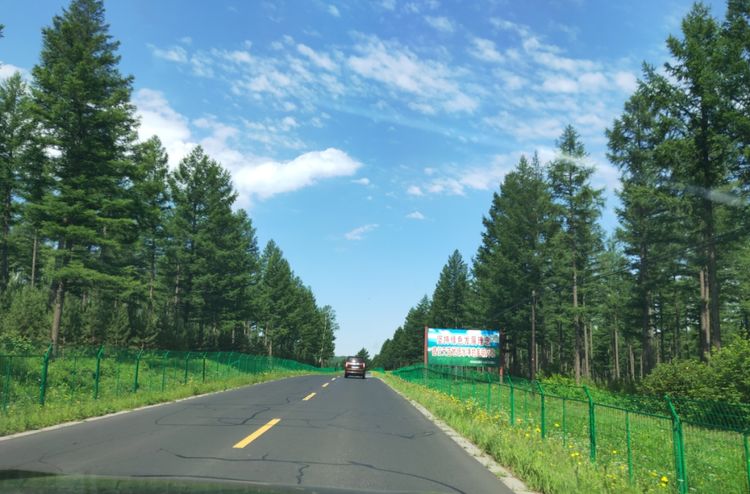 美丽的高岭塞罕坝,美丽的高岭朗诵