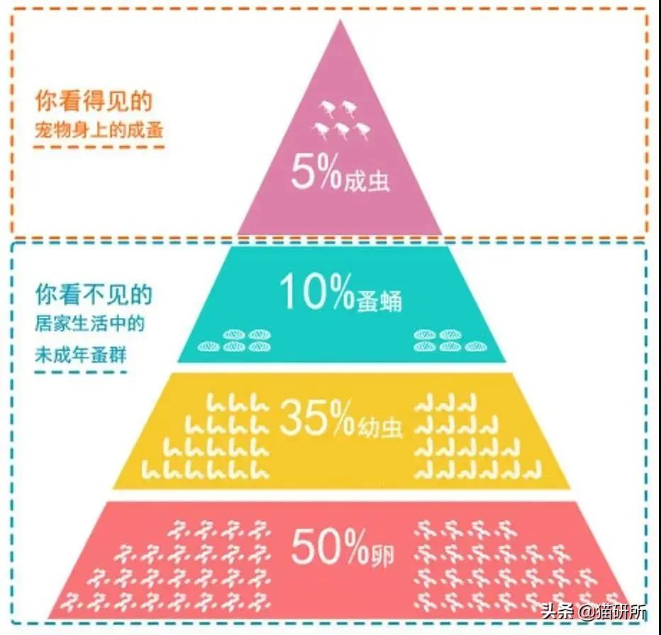 驱虫药怎么选？10个基础问题答疑
