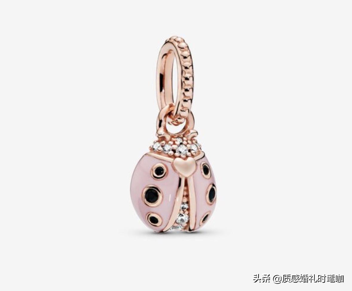 蝗虫算是物种入侵吗,蝗虫是圣甲虫吗