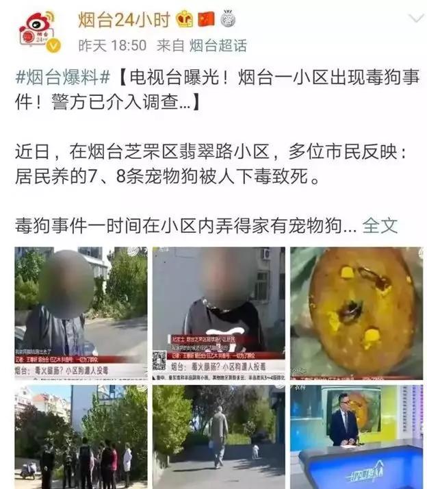 毒狗最新事件,毒狗事件需要哪些证据