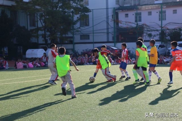 白大褂舞蹈教程,白大褂向日葵