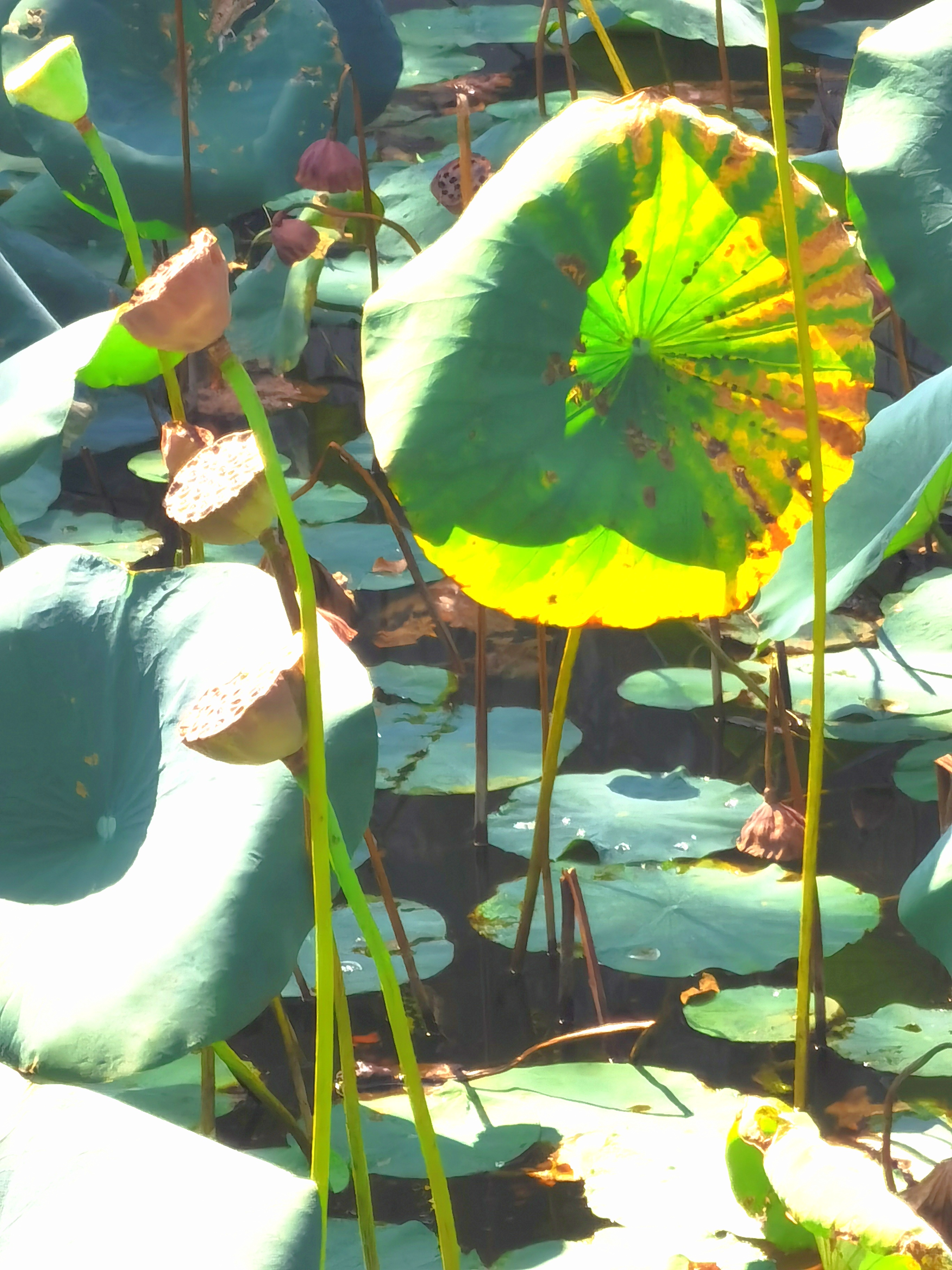 网购正品书,网购书柜