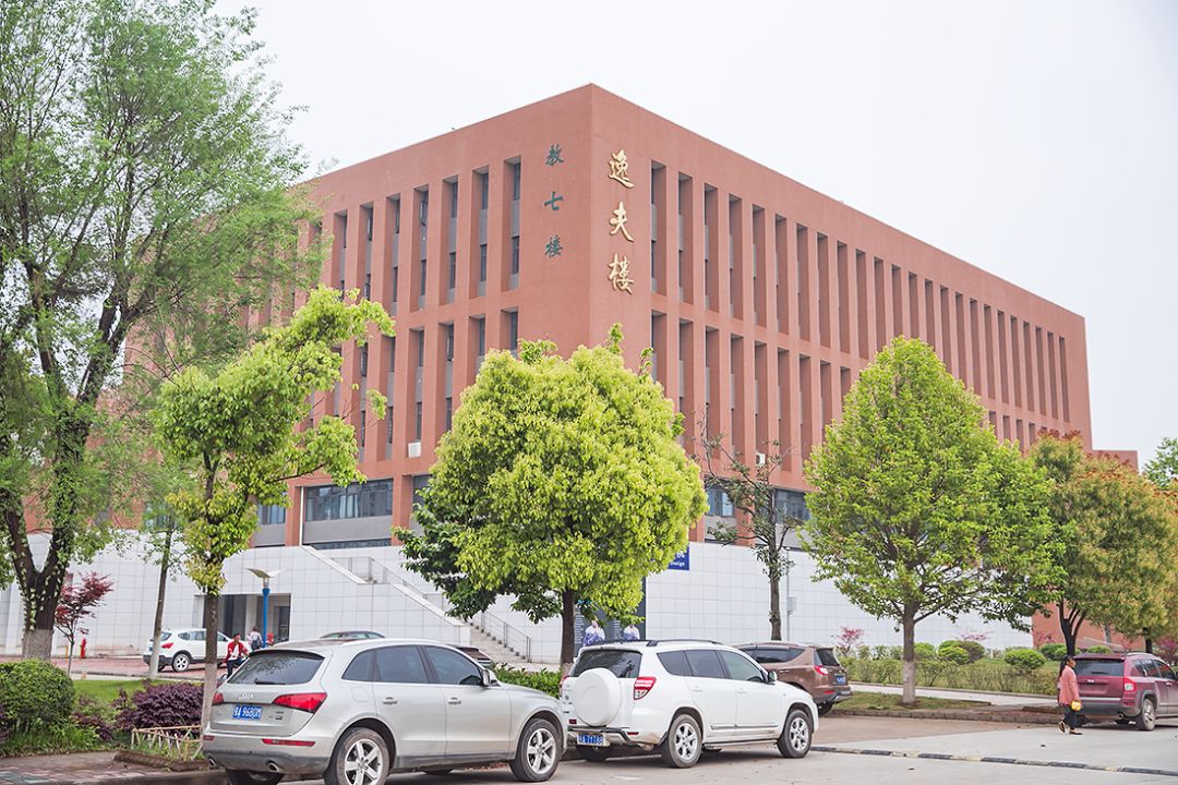 武科大算什么档次,武科大属于什么水平