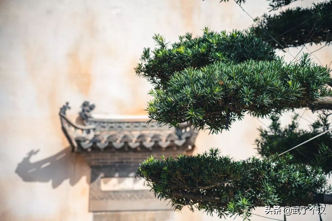 武昌向南择墅而居,这或许是你离理想生活最近的一次