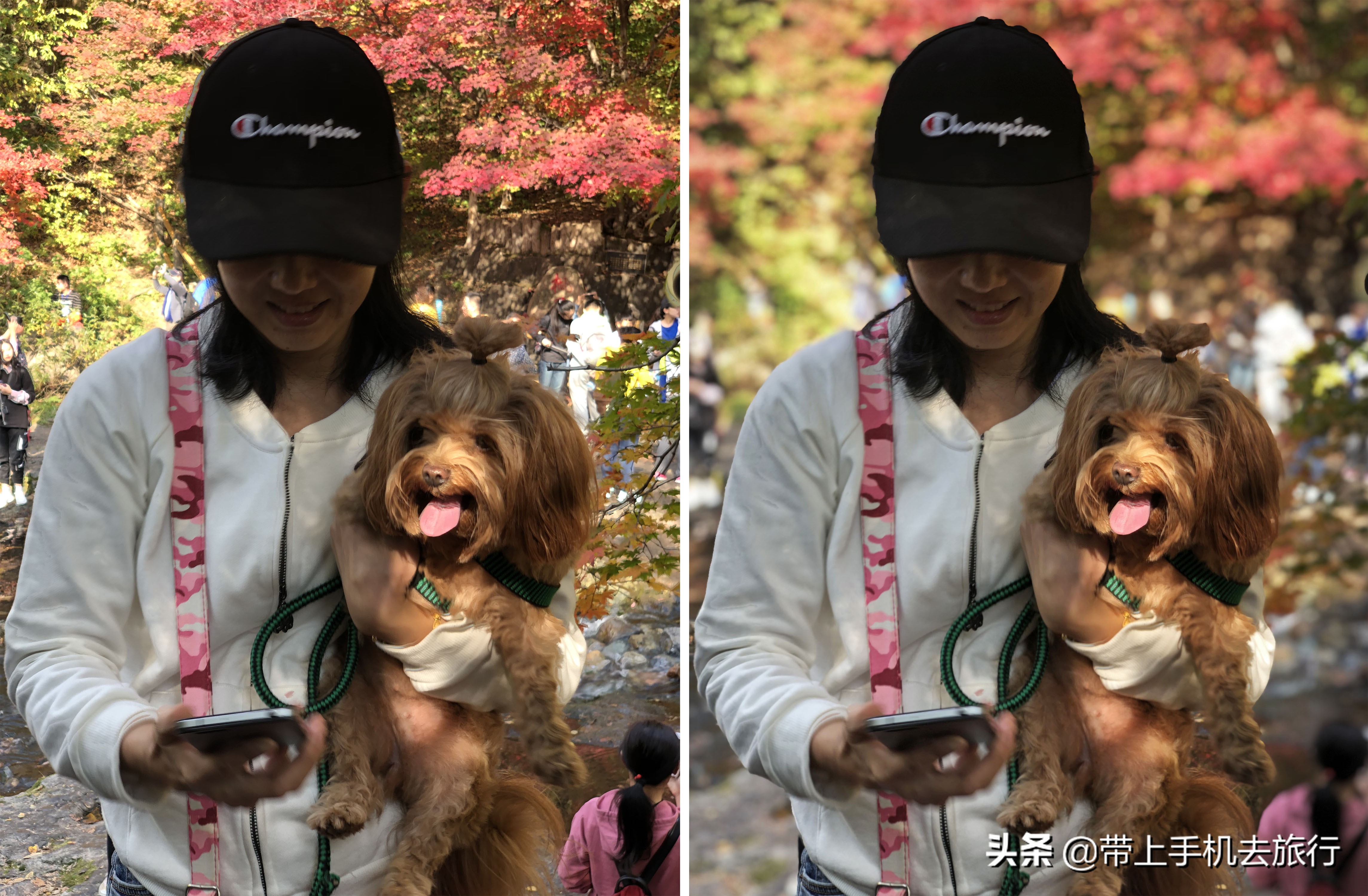 “减法”、虚化和“加法”，让画面瞬间干净简洁唯美