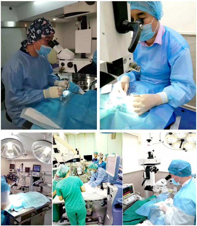 狗狗有眼屎是有疾病吗,狗狗有一只眼睛有脓眼屎什么原因