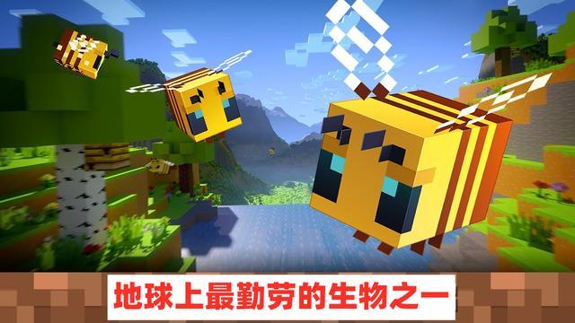 我的世界五个长得像村民的生物,我的世界各种能被驯服的生物