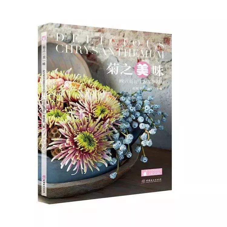 冬季切花菊,银叶菊鲜切花搭配