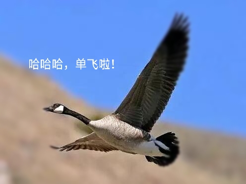 鞠婧祎清纯甜美图片,鞠婧祎甜美风格