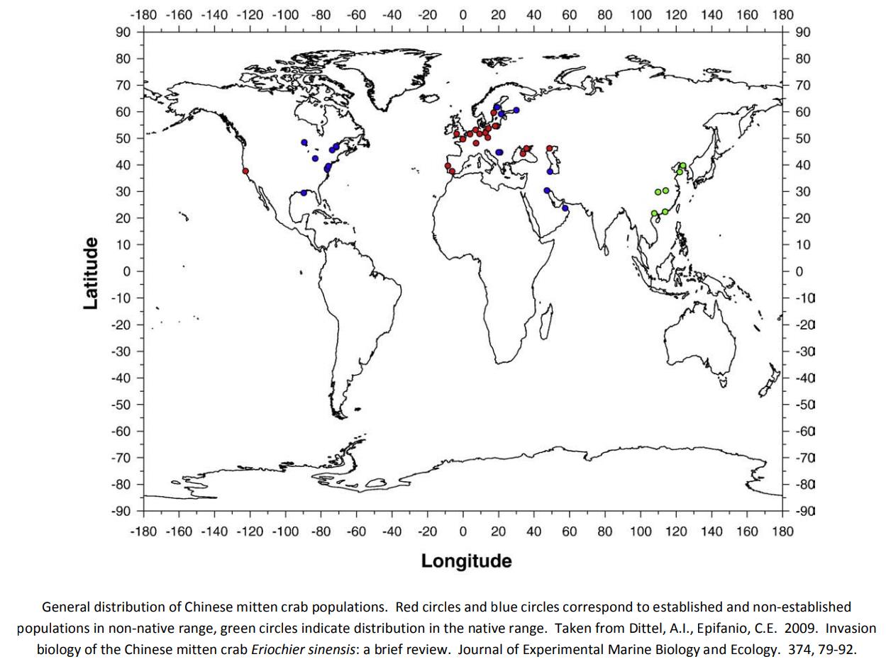大闸蟹入侵欧洲的危害,大闸蟹在美国泛滥成灾视频