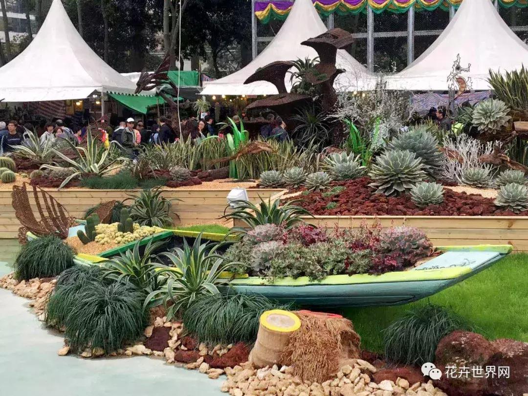 香港花卉艺术展,共赴盛会活动