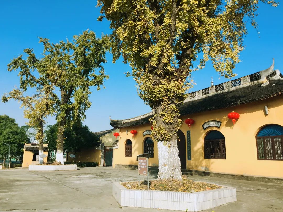 风景好的地方江阴,江阴好风景