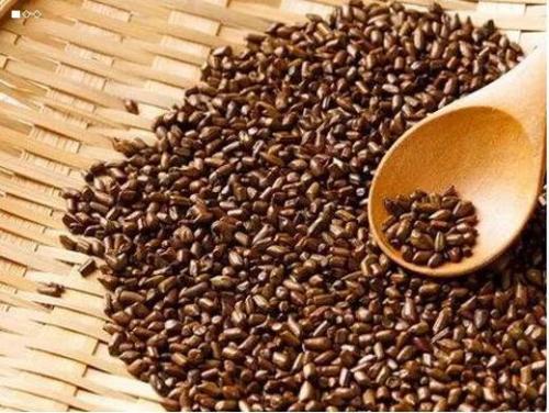 这几种茶千万别喝不养生还易致病,六种养生茶千万不要随便泡了喝