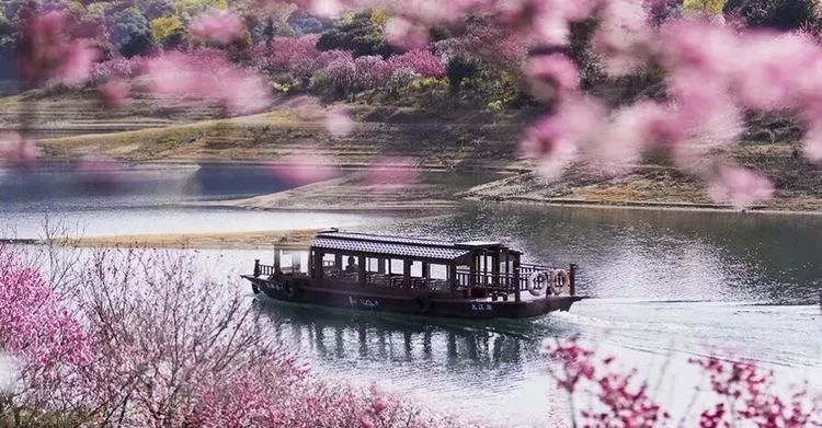 有诗意的送别语,送别词的经典词句