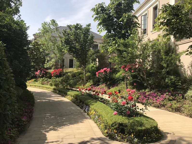 平原新区绿城凤湖玫瑰园别墅,平原新区中式合院