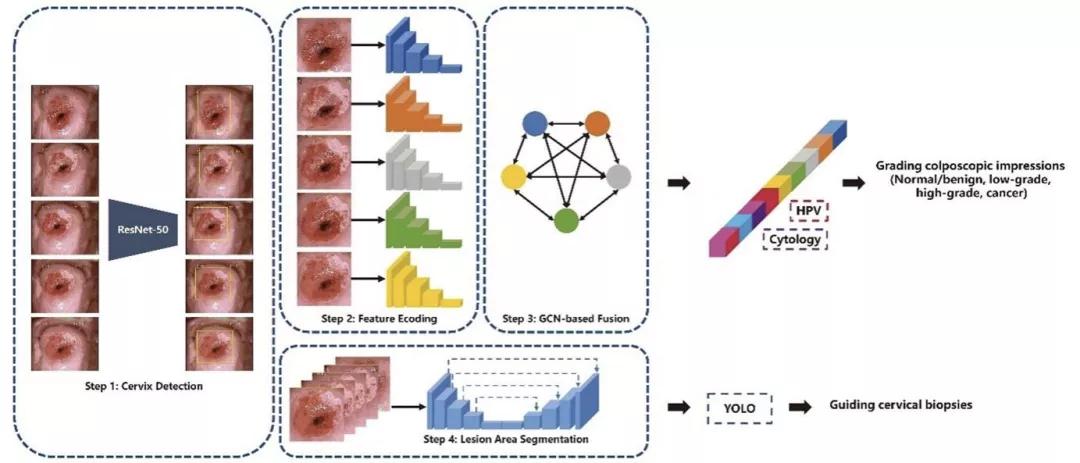 在AI消灭宫颈癌这件事情上，腾讯天衍实验室做了一些重磅研究