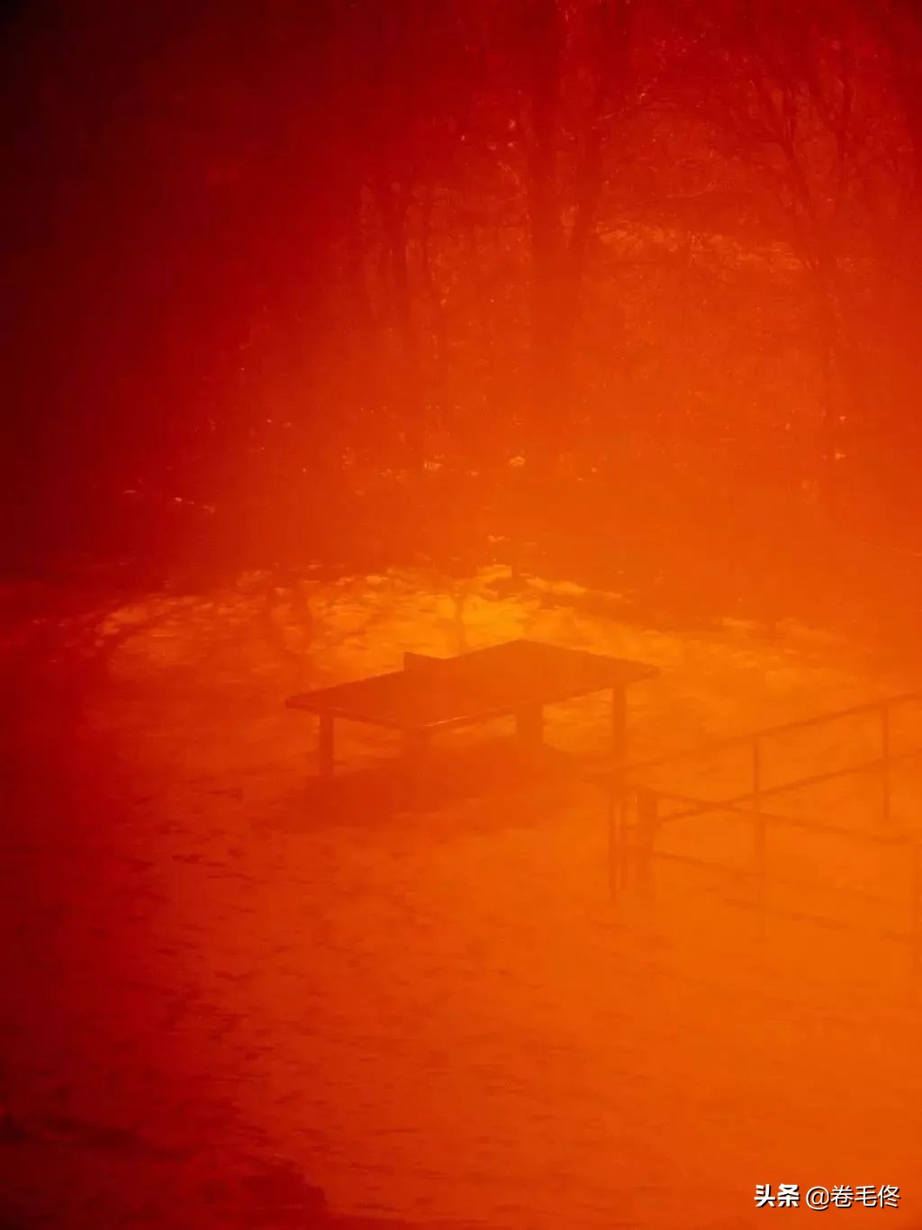 日本摄影师拍乒乓球桌获奖,日本摄影师拍乒乓球桌