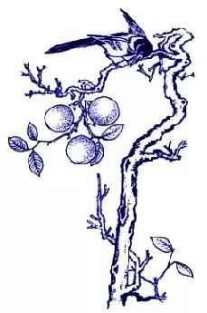 中国传统吉祥寓意图案,中国传统吉祥图案简笔画