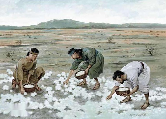 暗黑血统3为什么没有终结技,暗黑血统3纯粹之力