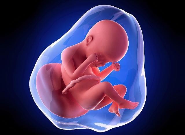 孕期肚子一跳一跳是胎儿在打嗝吗,孕期肚子一跳一跳是宝宝打嗝吗