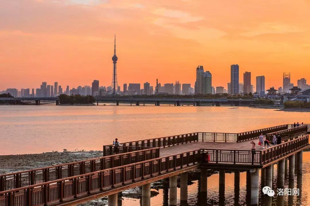 洛阳牡丹花会邀请,洛阳邀请全世界人民看牡丹