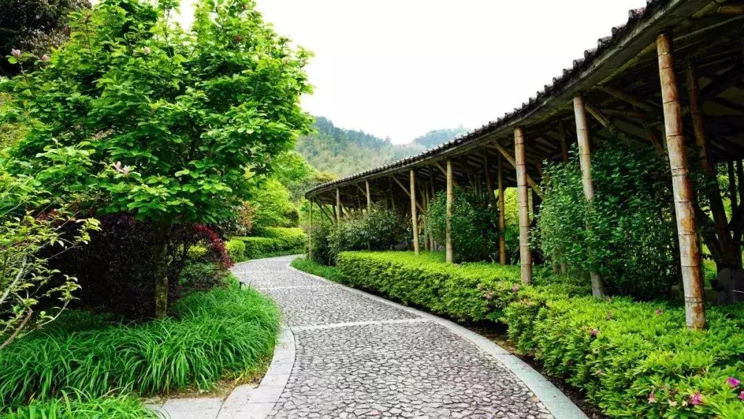 南昆山山顶风景,南昆山幽谷