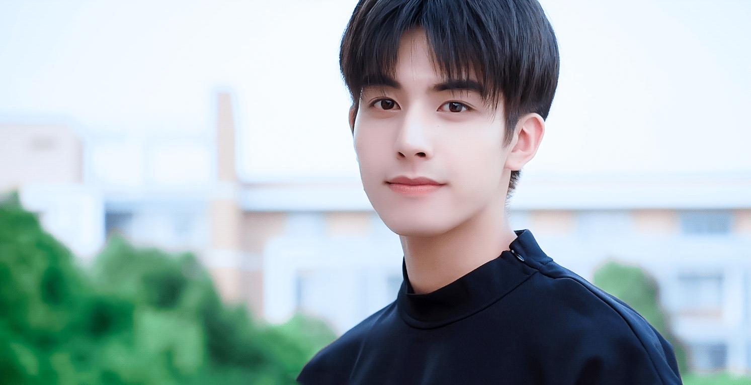 魅力十足十大男星,10位辽宁与四川的男星对比